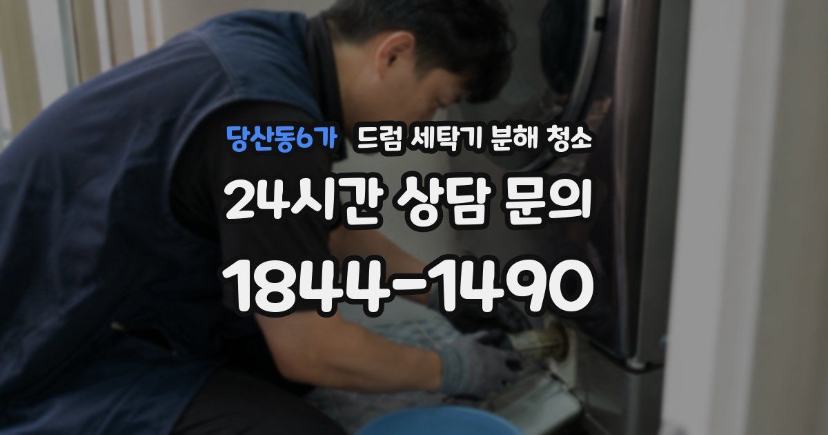 당산동6가 드럼 세탁기 분해 청소