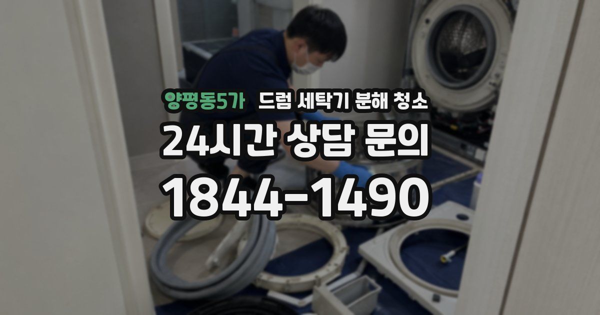 양평동5가 드럼 세탁기 분해 청소