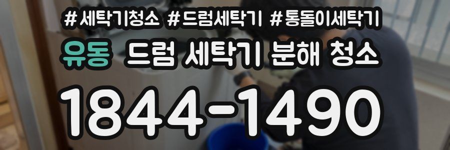 유동 드럼 세탁기 분해 청소