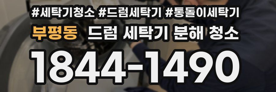 부평동 드럼 세탁기 분해 청소