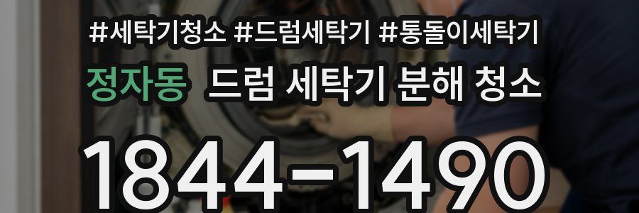정자동 드럼 세탁기 분해 청소