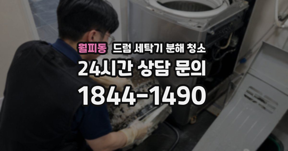 월피동 드럼 세탁기 분해 청소