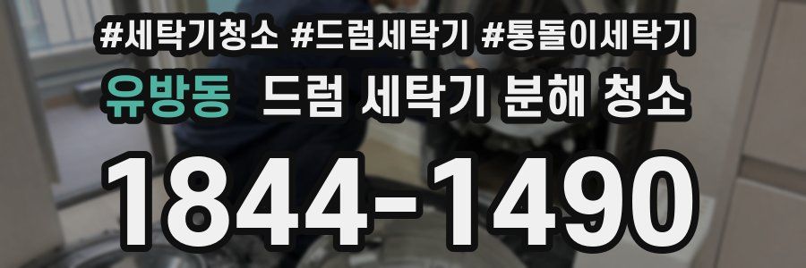 유방동 드럼 세탁기 분해 청소