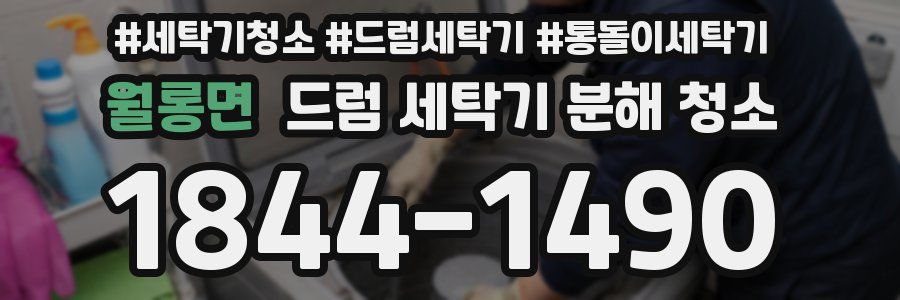 월롱면 드럼 세탁기 분해 청소