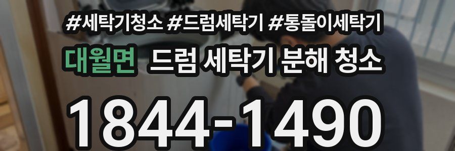 대월면 드럼 세탁기 분해 청소