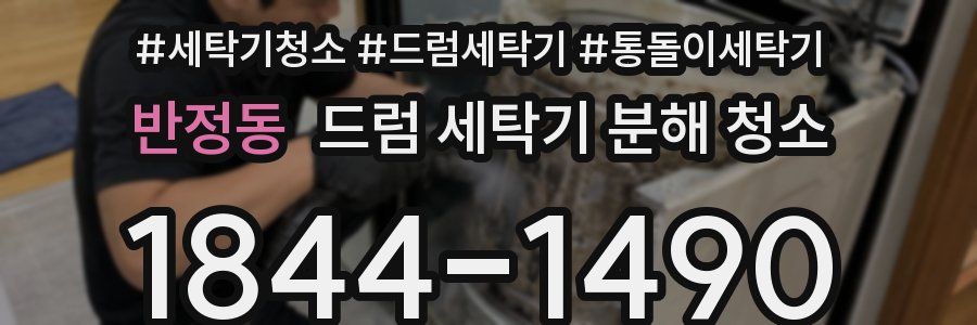 반정동 드럼 세탁기 분해 청소