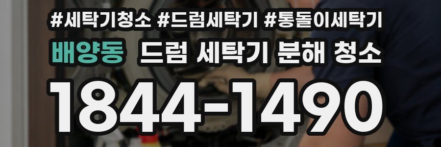 배양동 드럼 세탁기 분해 청소