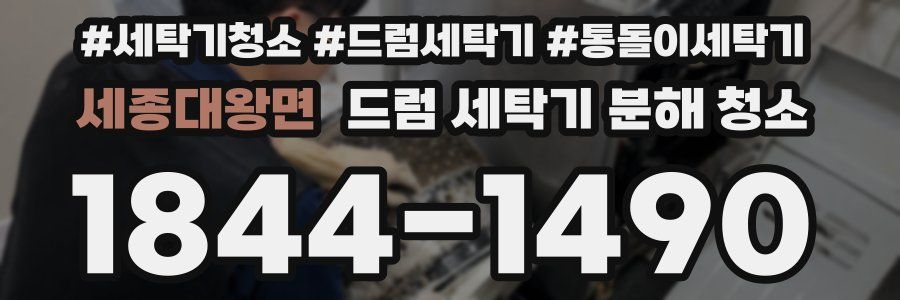 세종대왕면 드럼 세탁기 분해 청소