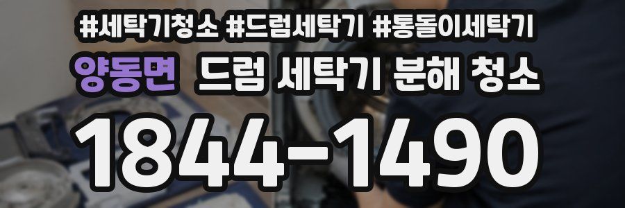 양동면 드럼 세탁기 분해 청소