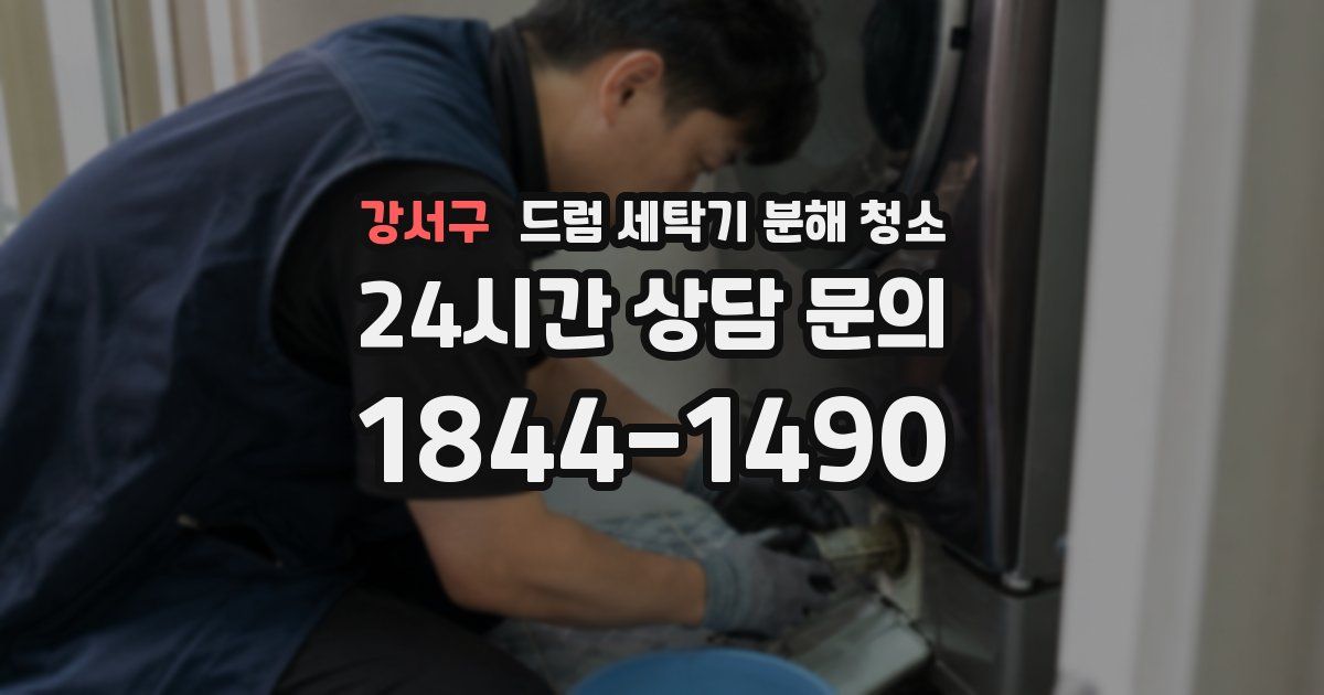 강서구 드럼 세탁기 분해 청소
