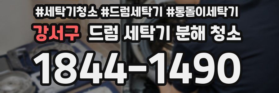 강서구 드럼 세탁기 분해 청소