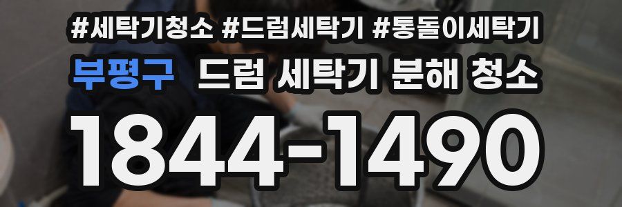 부평구 드럼 세탁기 분해 청소