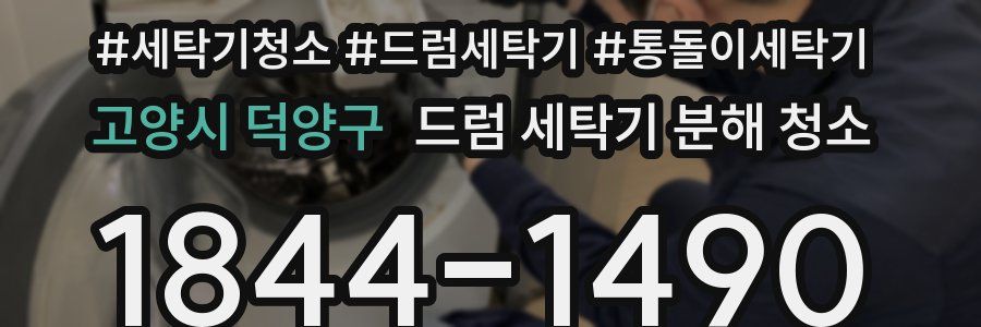 고양시 덕양구 드럼 세탁기 분해 청소