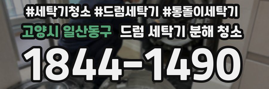 고양시 일산동구 드럼 세탁기 분해 청소