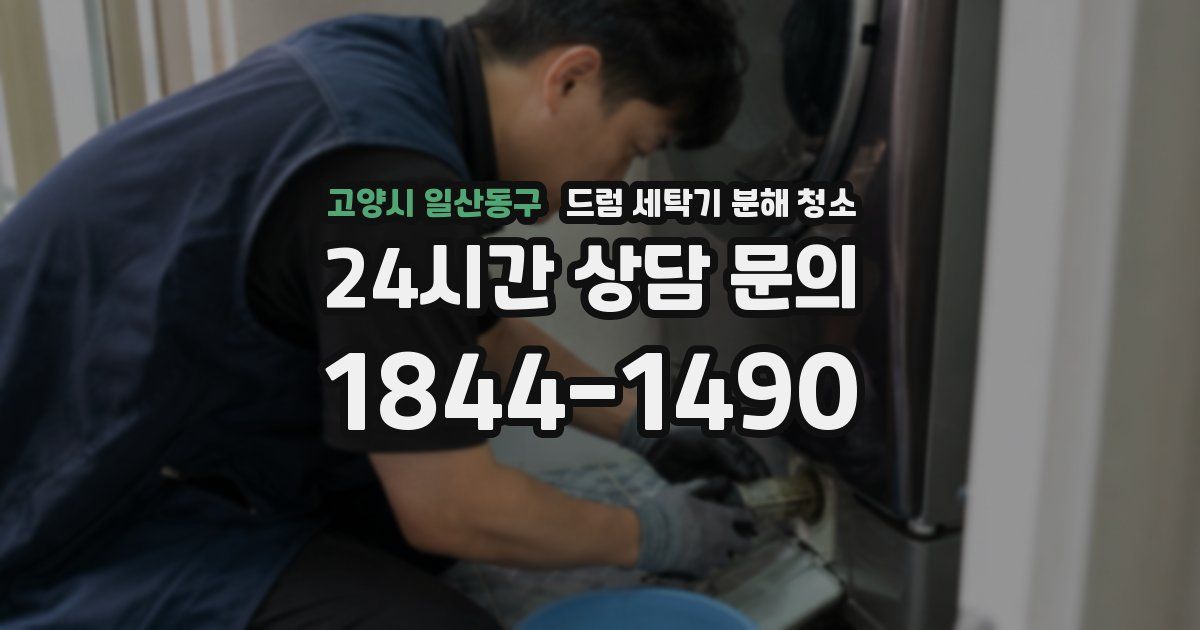 고양시 일산동구 드럼 세탁기 분해 청소