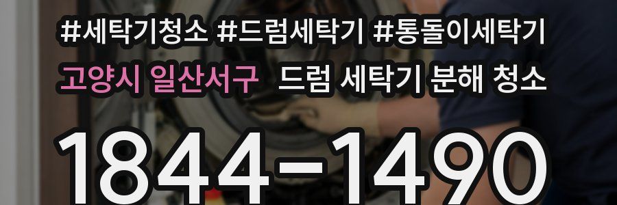 고양시 일산서구 드럼 세탁기 분해 청소
