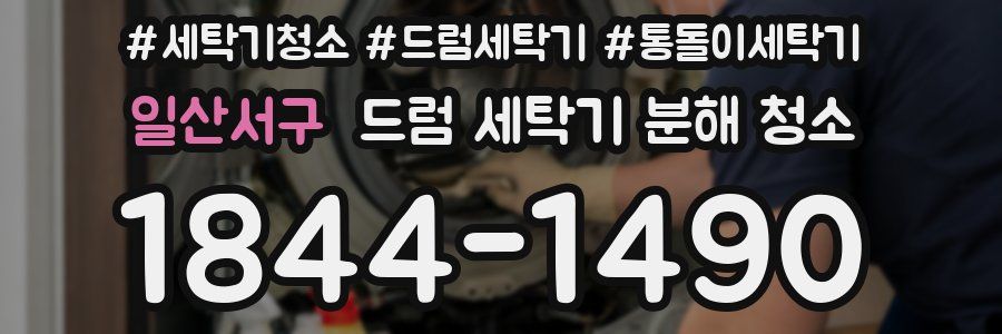 일산서구 드럼 세탁기 분해 청소
