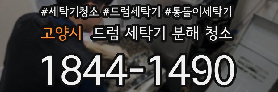 고양시 드럼 세탁기 분해 청소
