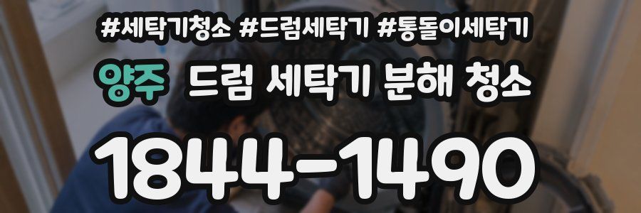 양주 드럼 세탁기 분해 청소