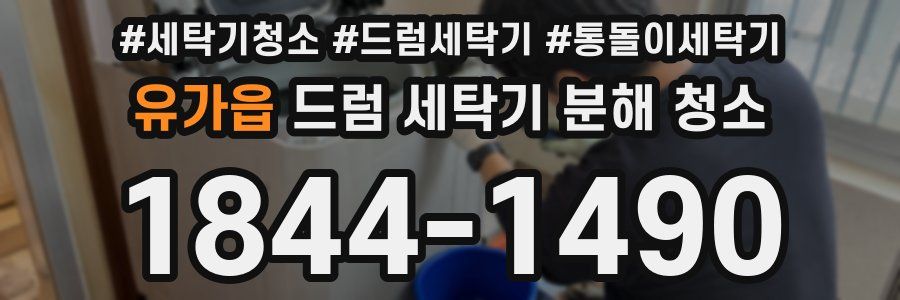 유가읍 드럼 세탁기 분해 청소