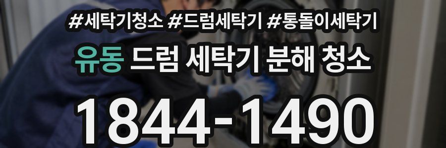 유동 드럼 세탁기 분해 청소