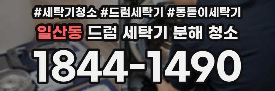 일산동 드럼 세탁기 분해 청소