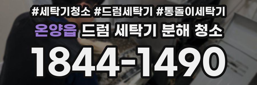 온양읍 드럼 세탁기 분해 청소