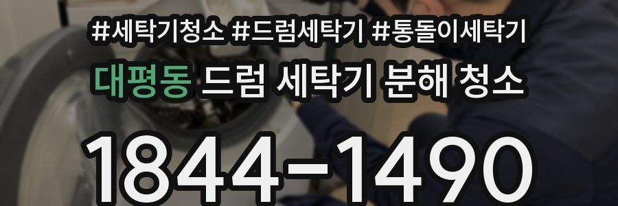 대평동 드럼 세탁기 분해 청소