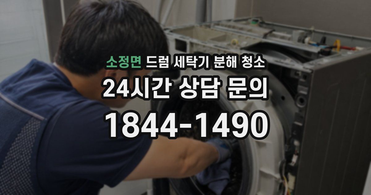 소정면 드럼 세탁기 분해 청소