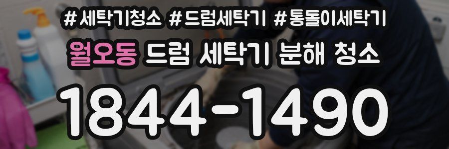 월오동 드럼 세탁기 분해 청소