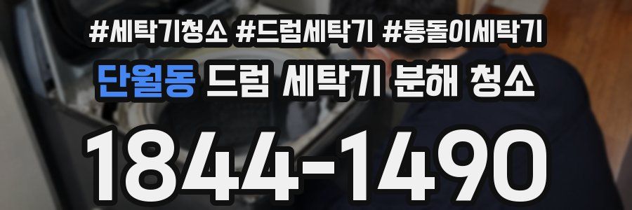 단월동 드럼 세탁기 분해 청소