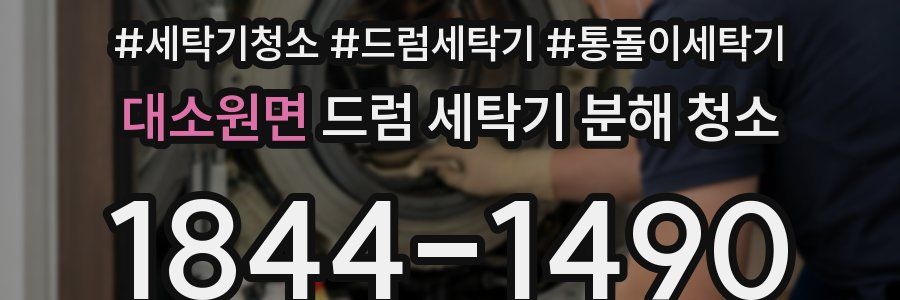 대소원면 드럼 세탁기 분해 청소