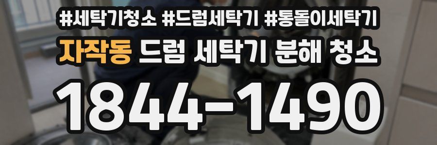 자작동 드럼 세탁기 분해 청소