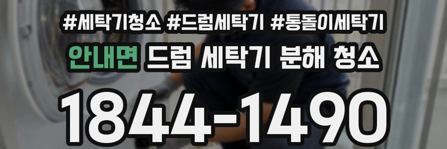 안내면 드럼 세탁기 분해 청소