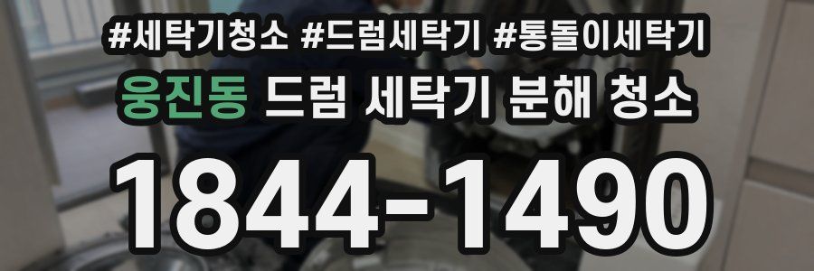 웅진동 드럼 세탁기 분해 청소