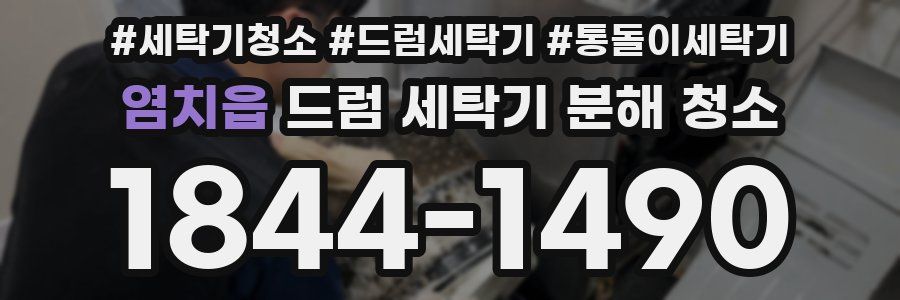 염치읍 드럼 세탁기 분해 청소