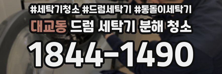 대교동 드럼 세탁기 분해 청소