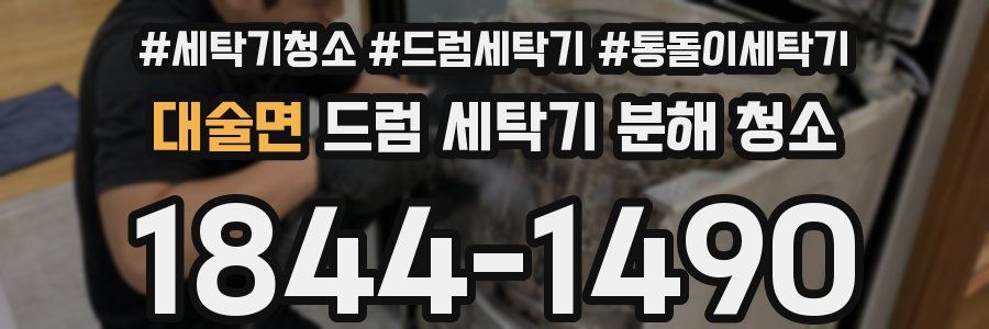 대술면 드럼 세탁기 분해 청소
