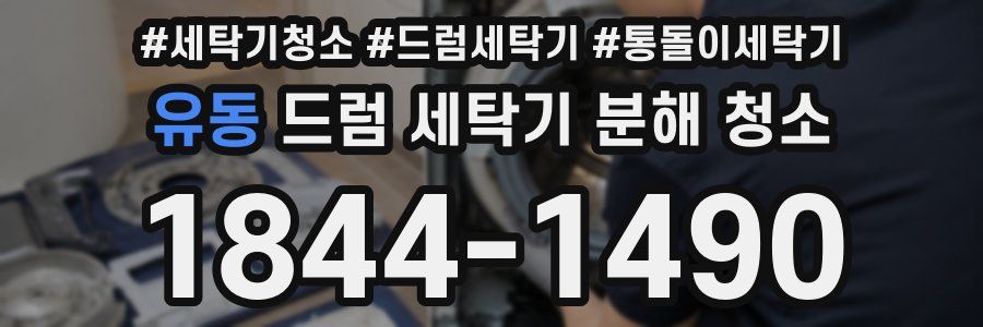 유동 드럼 세탁기 분해 청소