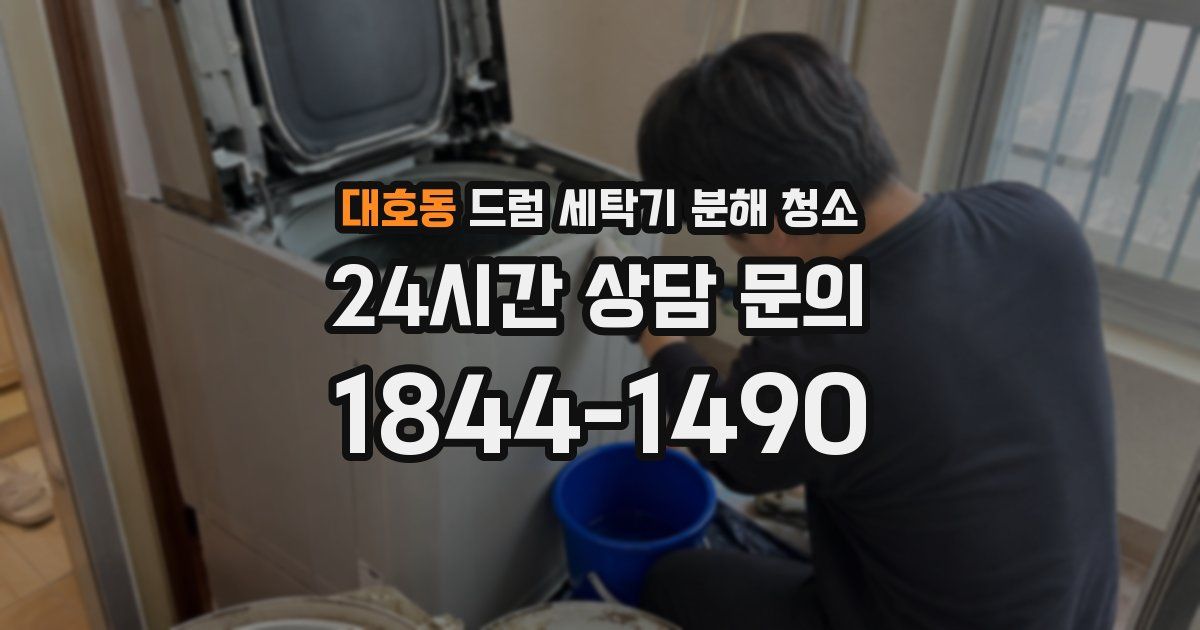 대호동 드럼 세탁기 분해 청소