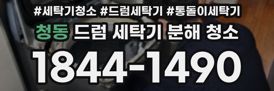 청동 드럼 세탁기 분해 청소