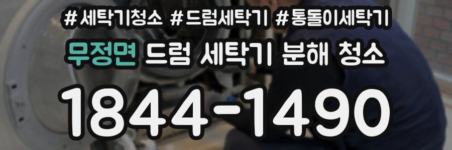 무정면 드럼 세탁기 분해 청소