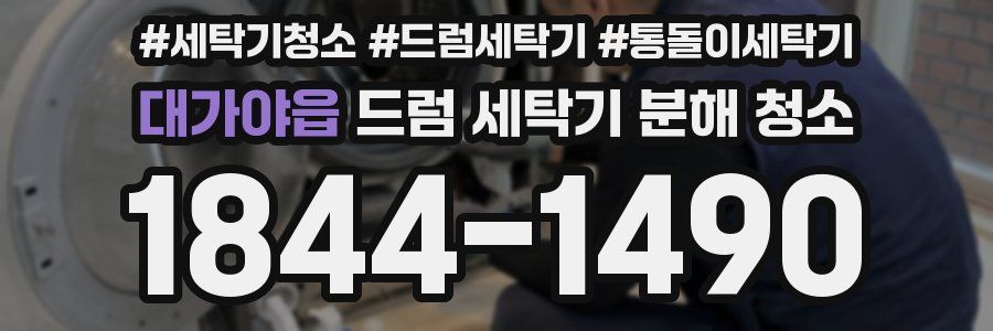 대가야읍 드럼 세탁기 분해 청소