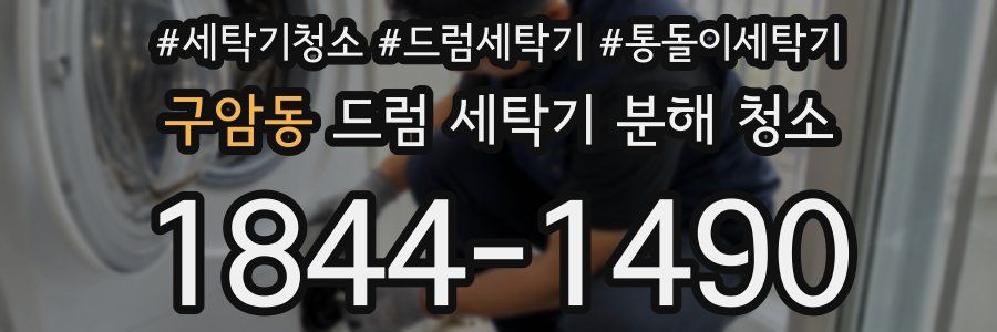 구암동 드럼 세탁기 분해 청소