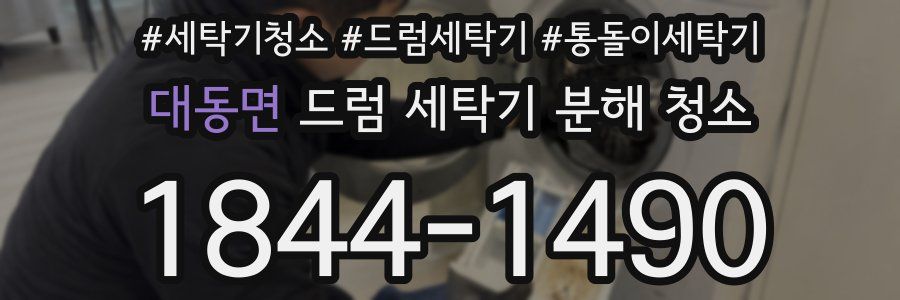 대동면 드럼 세탁기 분해 청소