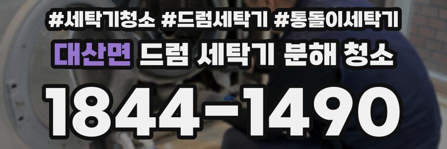 대산면 드럼 세탁기 분해 청소