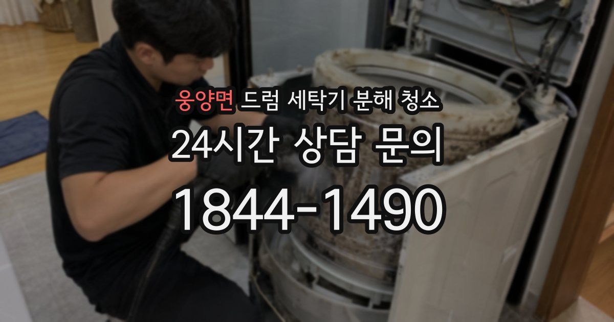웅양면 드럼 세탁기 분해 청소