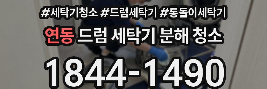 연동 드럼 세탁기 분해 청소