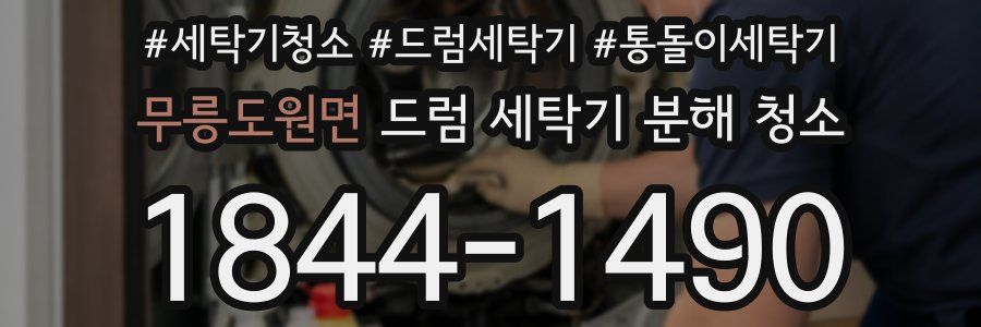 무릉도원면 드럼 세탁기 분해 청소