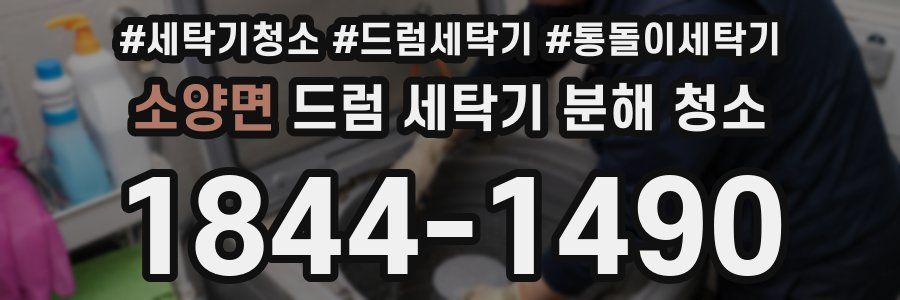 소양면 드럼 세탁기 분해 청소